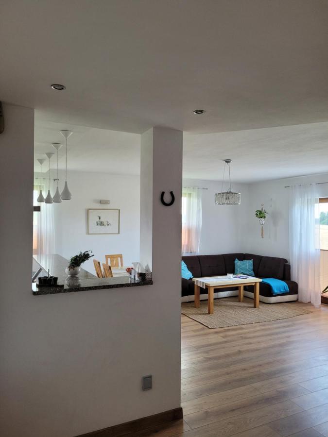 Agroturystyka Kaszuby Villagehome Borzytuchom 外观 照片