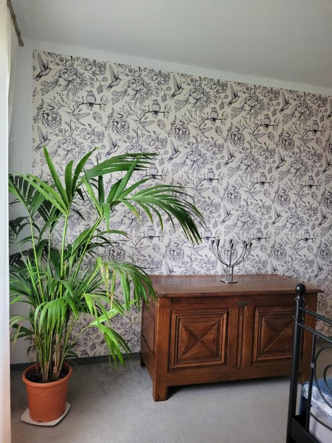 Agroturystyka Kaszuby Villagehome Borzytuchom 外观 照片