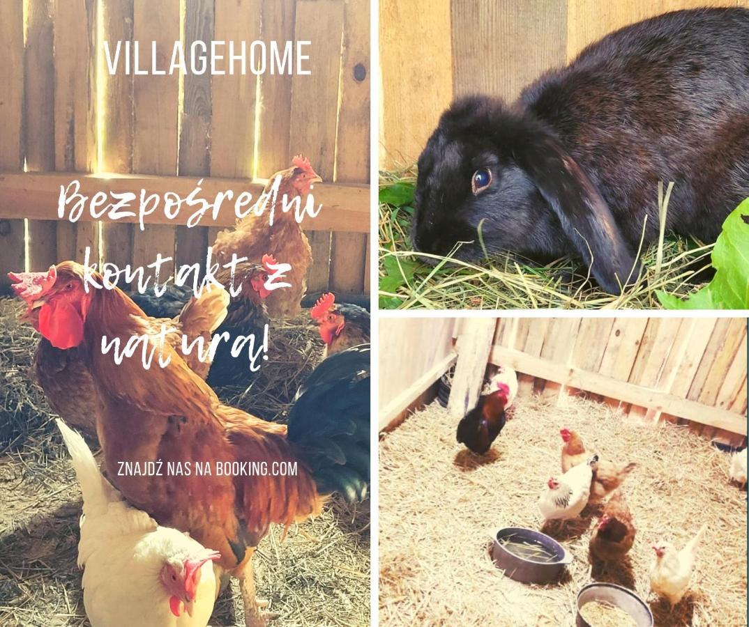 Agroturystyka Kaszuby Villagehome Borzytuchom 外观 照片